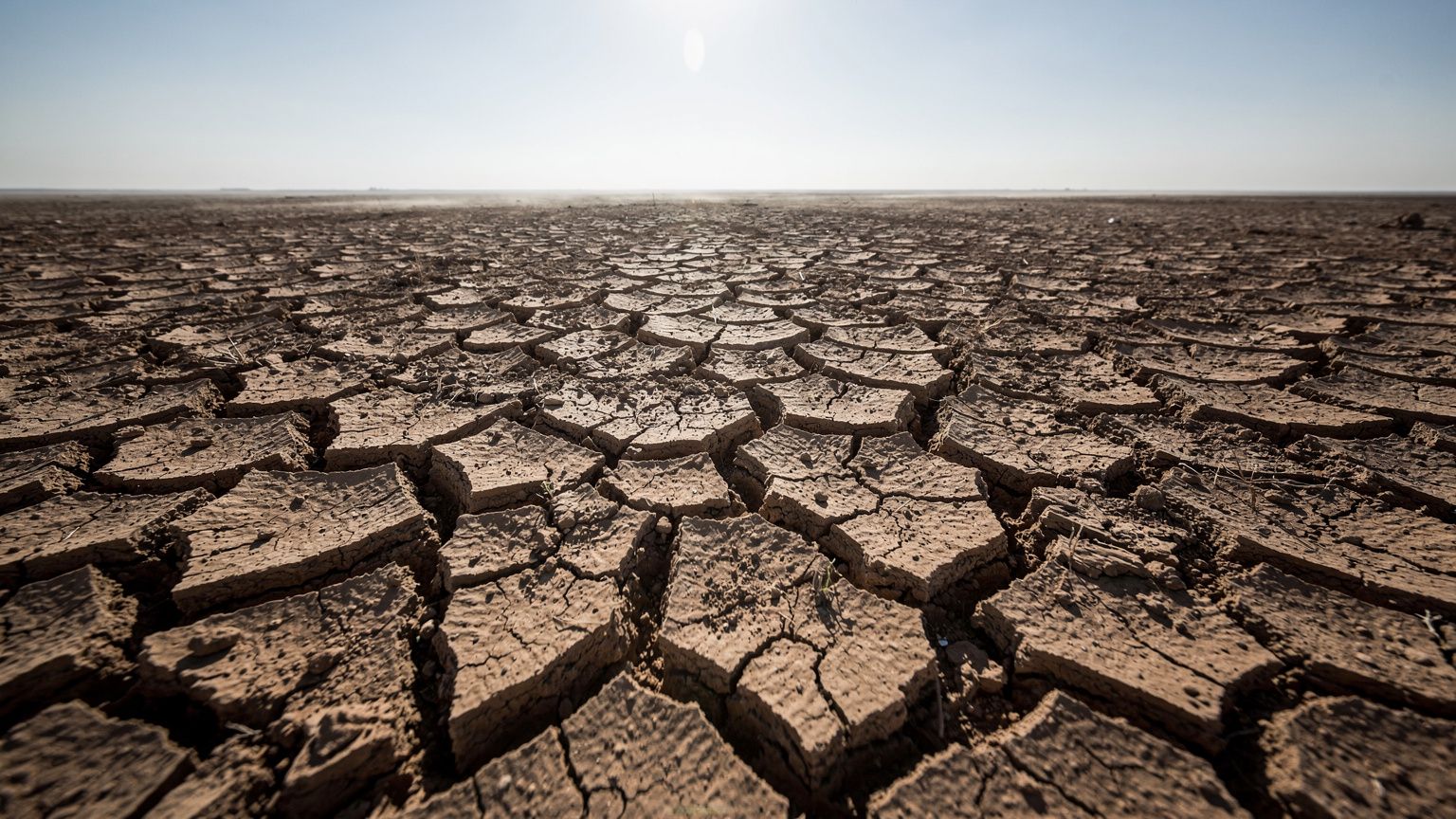 A wide horizontal view of parched, deeply cracked earth stretching to the horizon under a blazing white sun, heat shimmer distorting the air, harsh urgent midday light raking across the fissured clay,